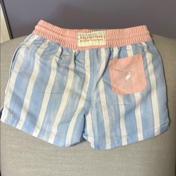 Striped Blue and Pink boys bathing suit - Picture 2 of 2